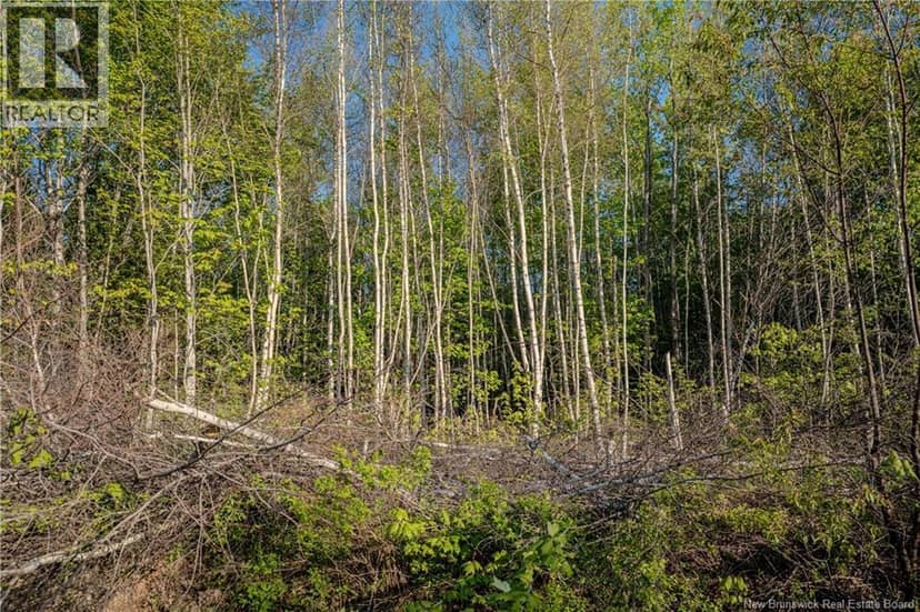 Lot Village-des-Cormier Road — photo 17 of 19