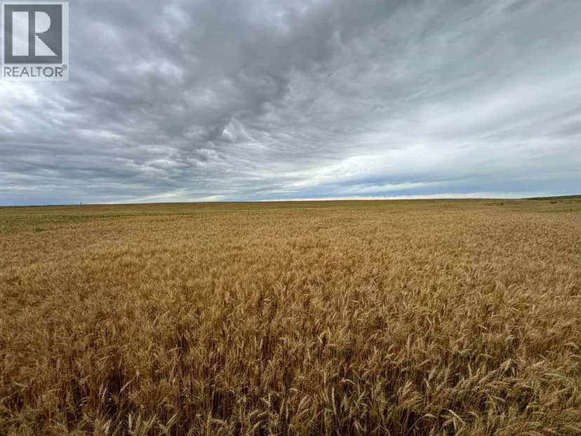 NE 15 31 27 W4, Rural Mountain View County, photo 6