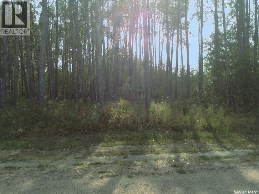 6 Pelly STREET — photo 9 of 13
