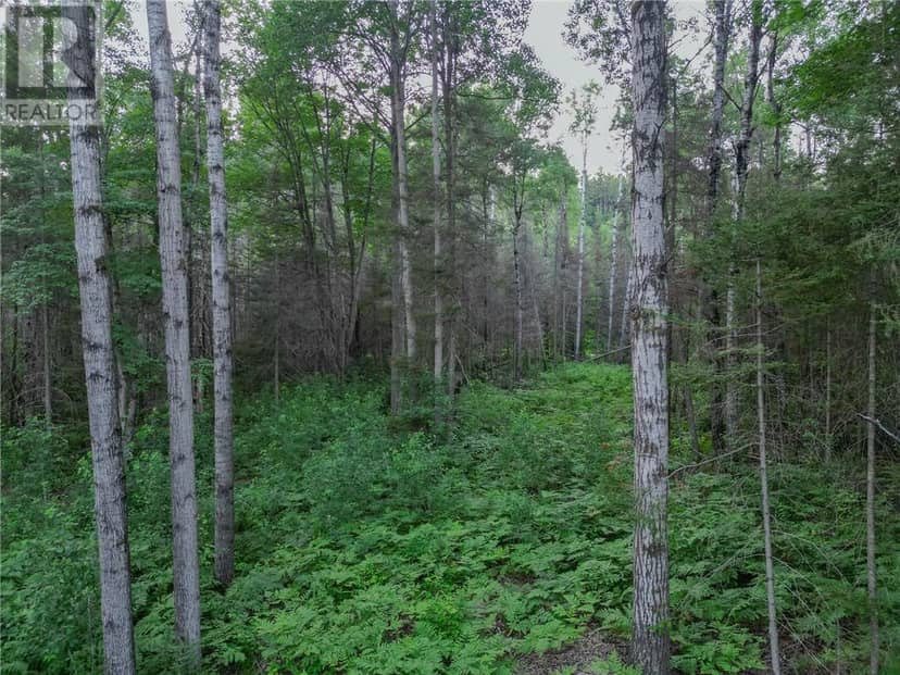 382 Old Webbwood Road Unit# Lot 1, Webbwood, photo 7