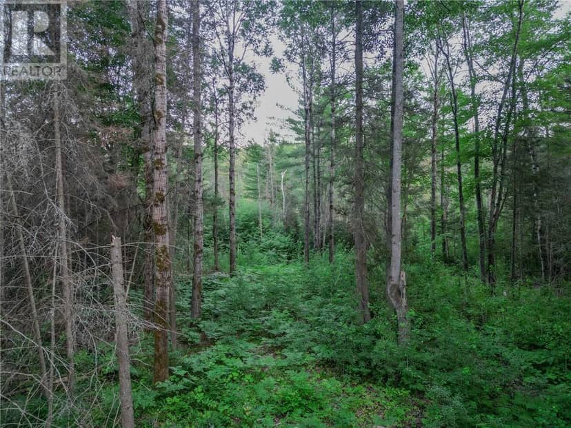 382 Old Webbwood Road Unit# Lot 1, Webbwood, photo 8
