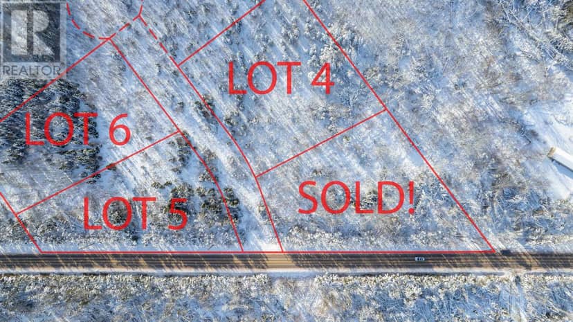 Lot 6 Route 225, Hartsville, photo 3