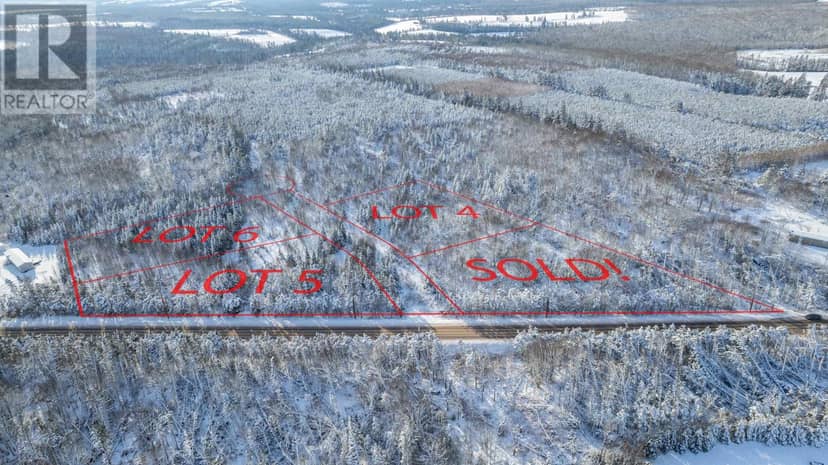 Lot 5 Route 225, Hartsville, photo 4