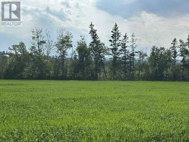 4161 Fort Augustus Road — photo 31 of 33