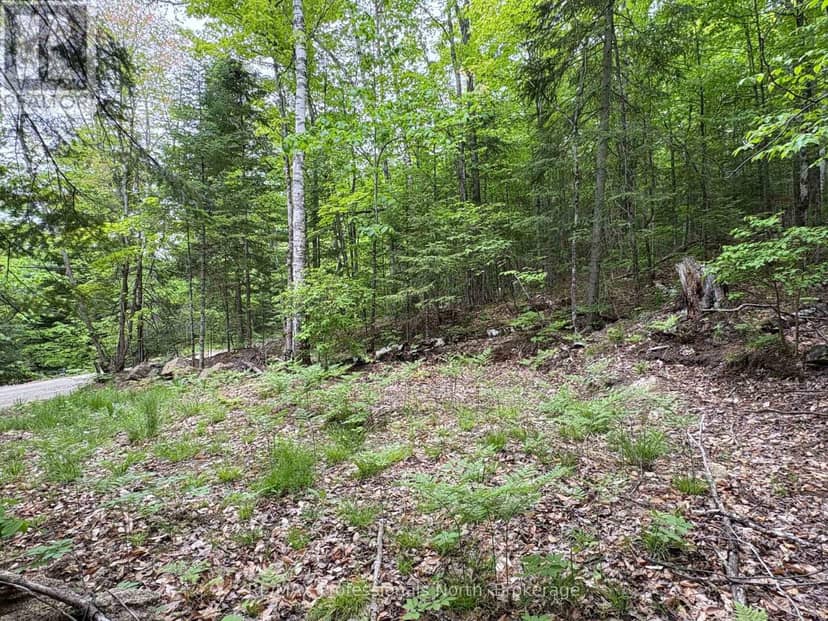 0 Poverty Bay Trail — photo 11 of 28