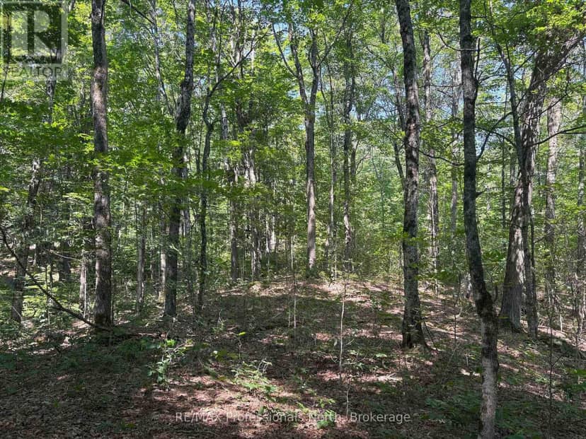 PL6 Kennaway Road — photo 19 of 29