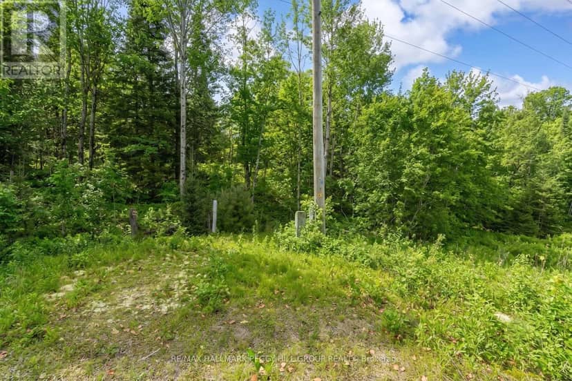 0 County Road 121, Minden Hills, photo 4