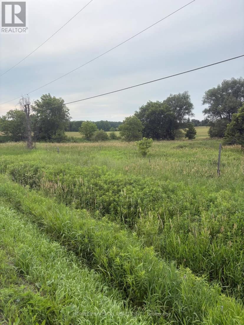 0 Highway 89, Innisfil, photo 3