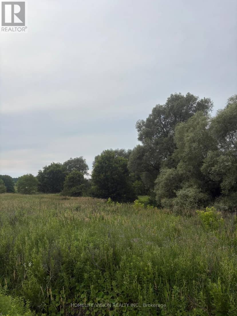 0 Highway 89, Innisfil, photo 4