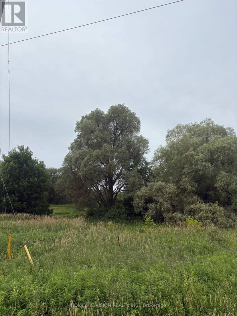 0 Highway 89, Innisfil, photo 5