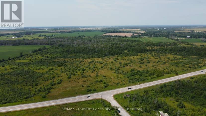 LT7 County Road 48 — photo 8 of 20
