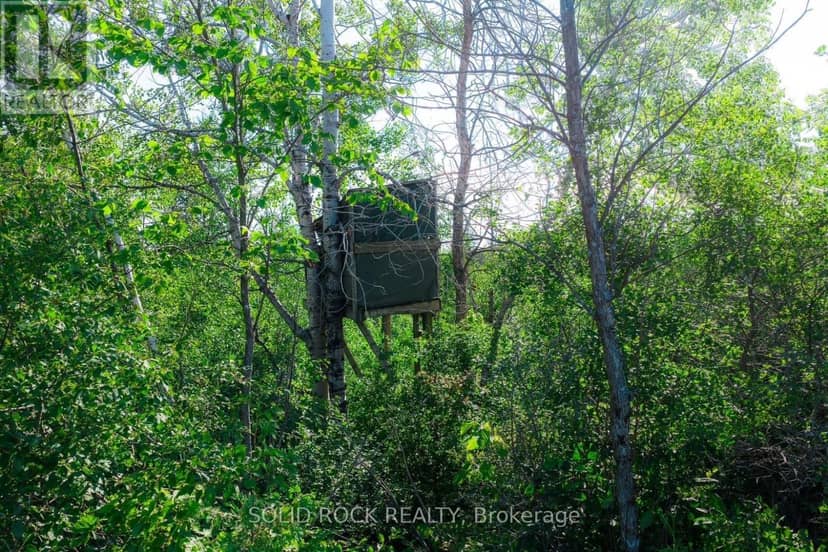 00 Yule Road, Merrickville-Wolford, photo 5