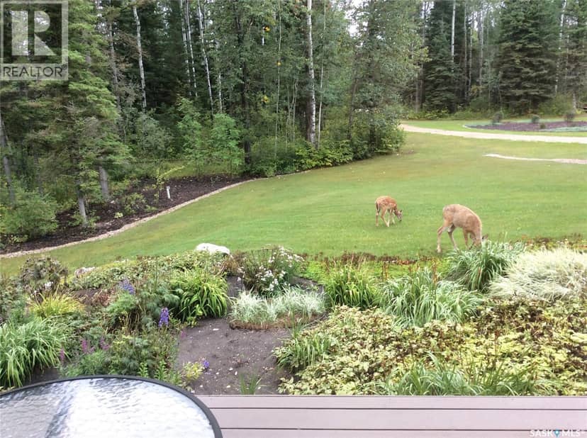 4.96 acres move in ready property, Hudson Bay Rm No. 394, photo 5