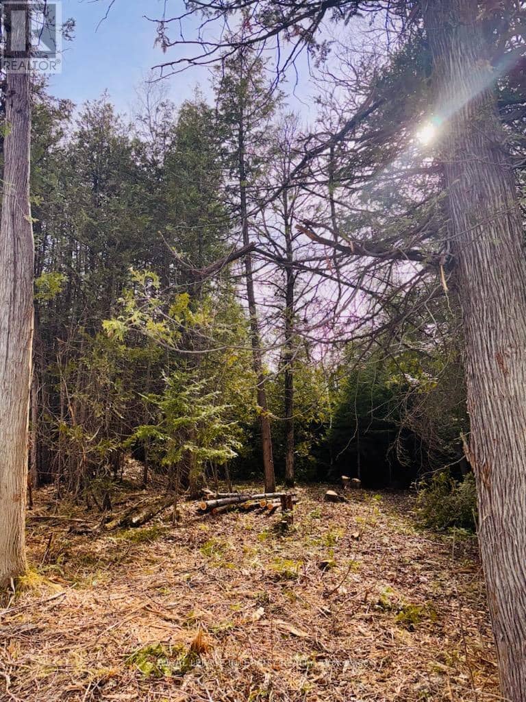 7110 Gallagher Road — photo 7 of 12
