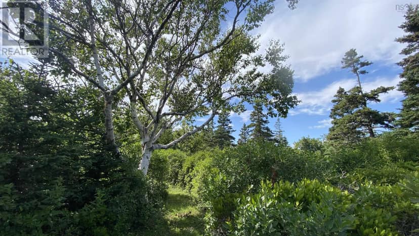 OCEANFRONT AT EAGLE POINT Road — photo 16 of 37