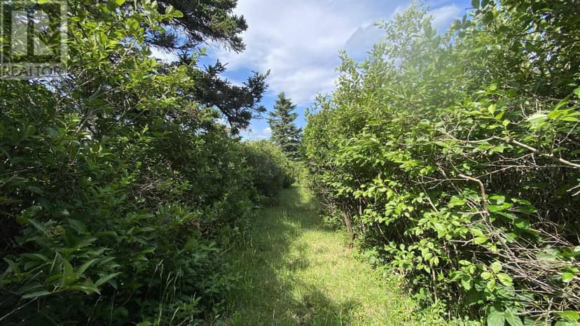 OCEANFRONT AT EAGLE POINT Road — photo 15 of 37