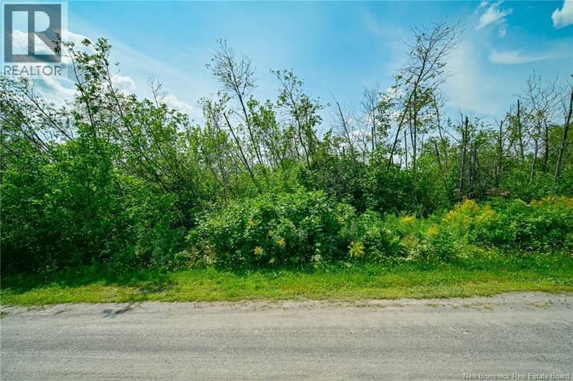Lot 3 CNR Road, Saint-Léonard, photo 5
