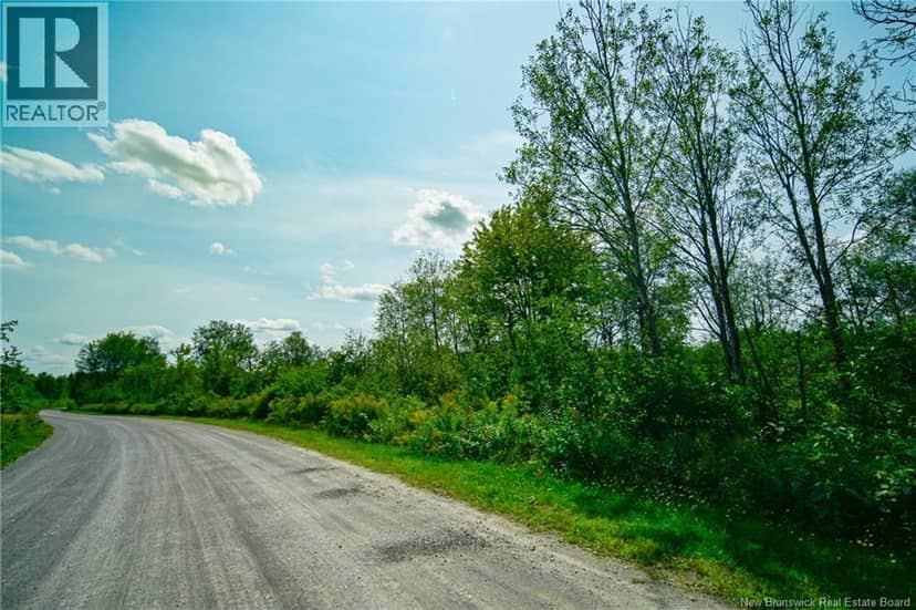 Lot 4 CNR Road — photo 2 of 18