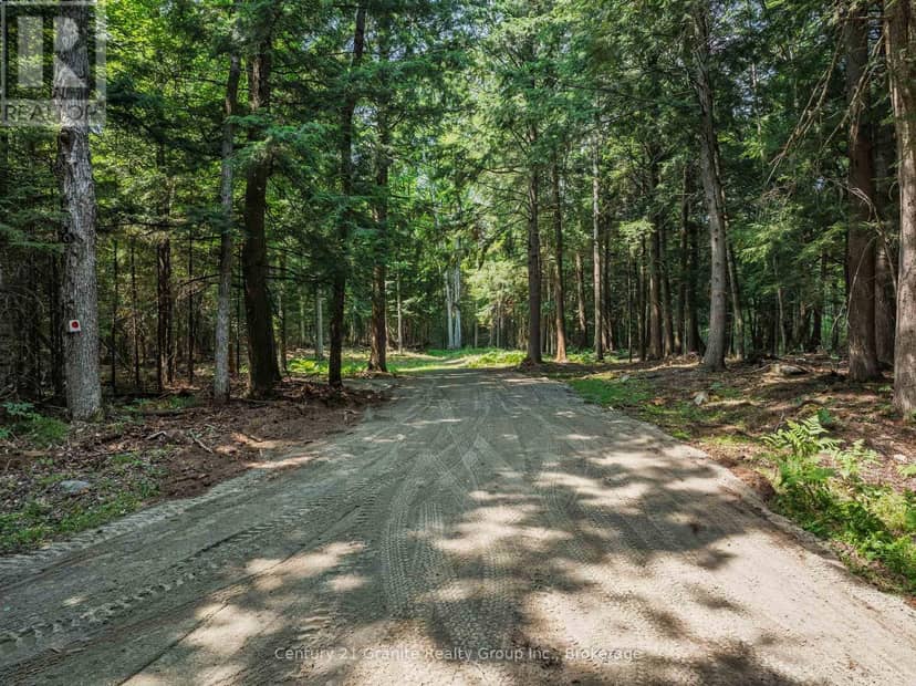0 Soyers Lake Road — photo 10 of 17