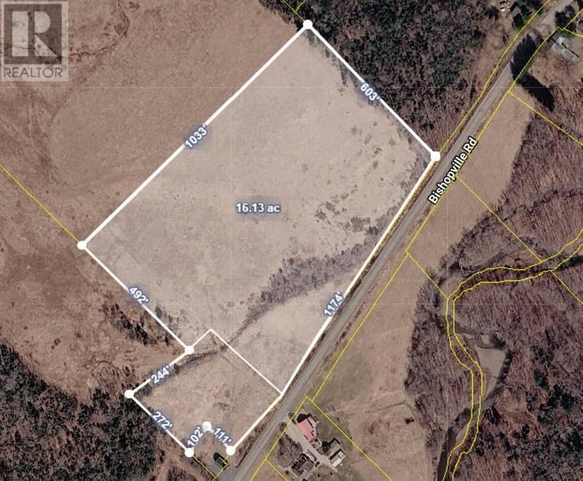 Lots Bishopville Road — photo 4 of 15