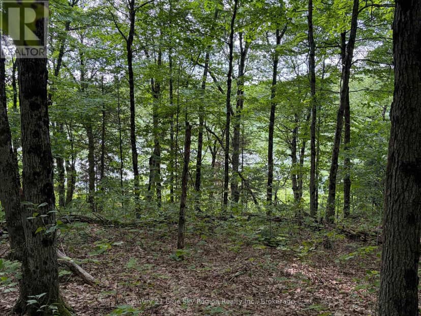 Part Lot 11 & 12 Chikopi Road, Magnetawan, photo 2
