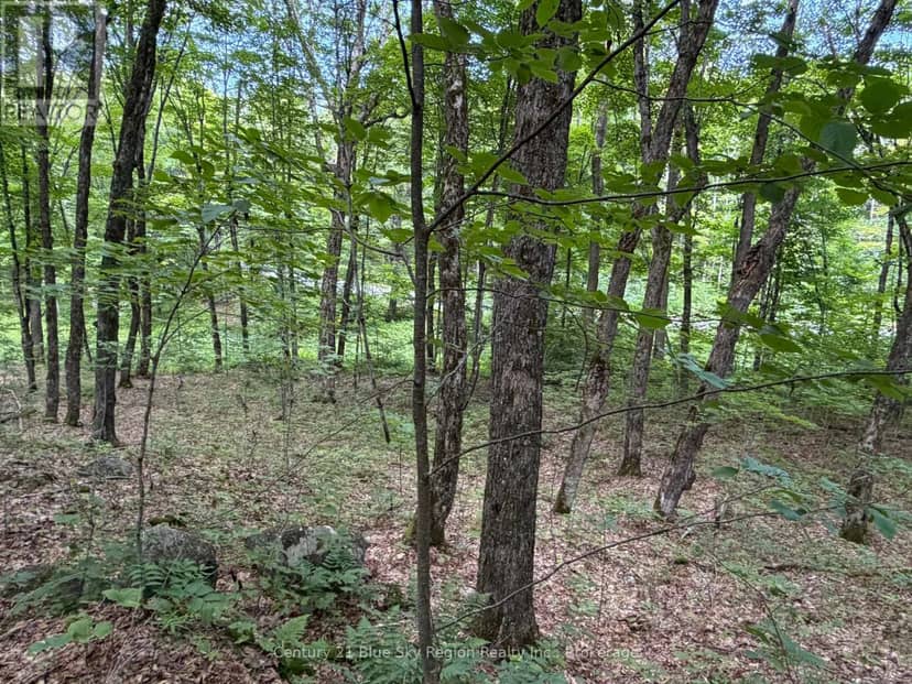 Part Lot 11 & 12 Chikopi Road, Magnetawan, photo 6