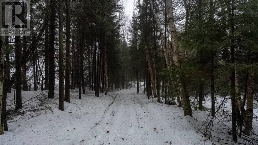 Pt 4 Norland — photo 14 of 22