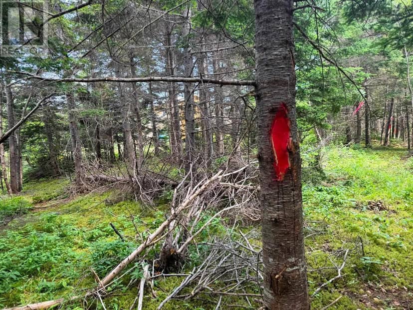 Lot 25-1R Corbetts Cove Road — photo 10 of 10