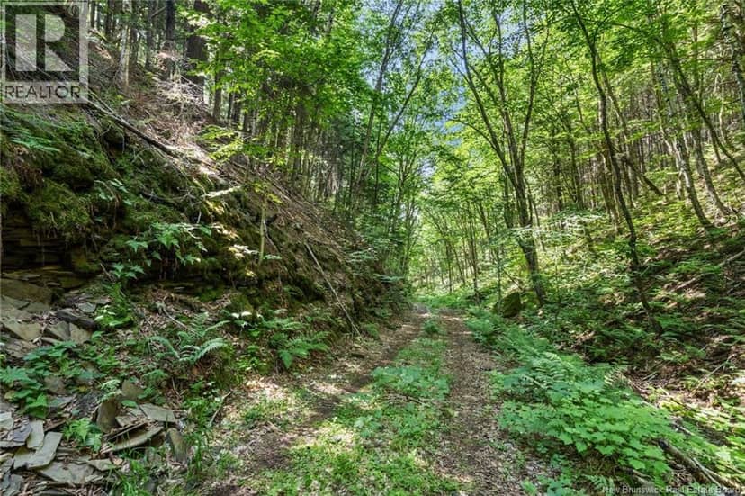 1403 Storeytown Road — photo 40 of 40