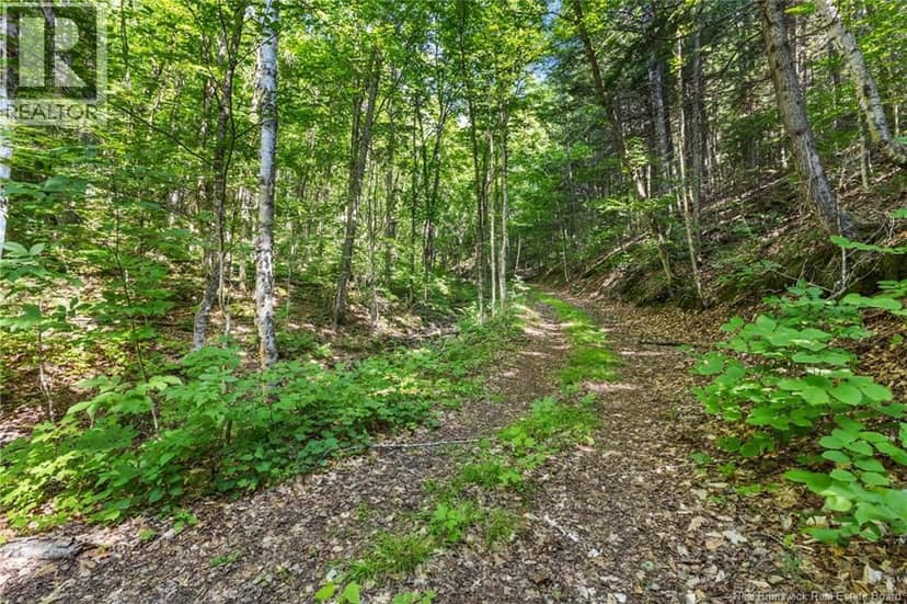 1403 Storeytown Road — photo 36 of 40