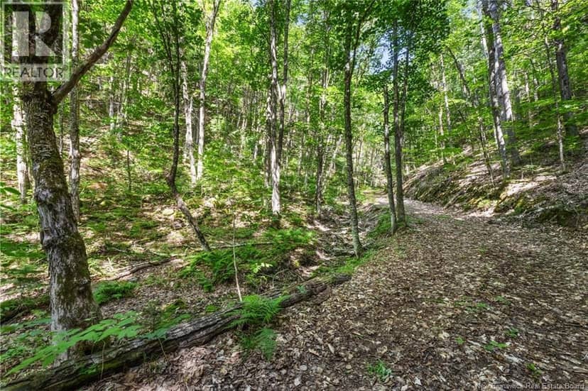 1403 Storeytown Road — photo 38 of 40
