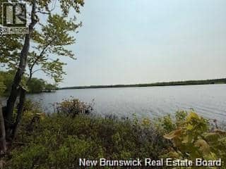 Lot Wegesegum Road — photo 11 of 15
