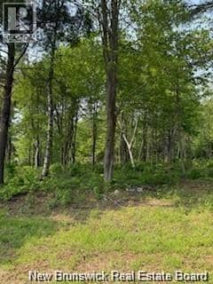 Lot Wegesegum Road — photo 13 of 15