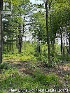 Lot Wegesegum Road — photo 14 of 15