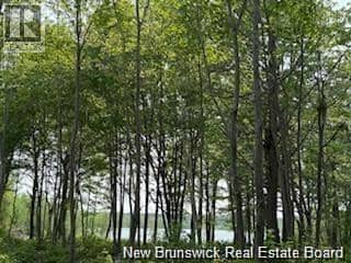 Lot Wegesegum Road — photo 15 of 15