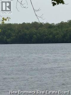 Lot Wegesegum Road, Chipman, photo 4