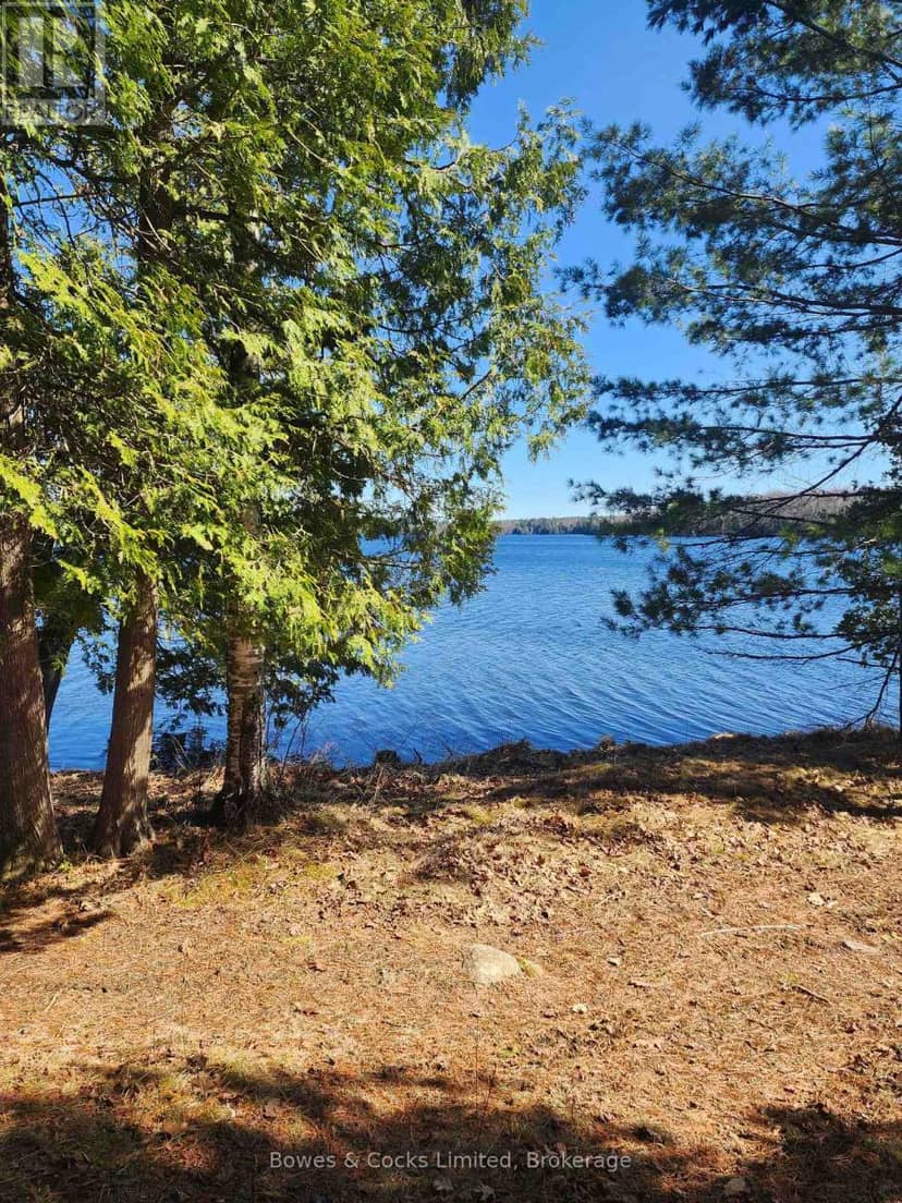 42 Clear Lake Court — photo 9 of 34