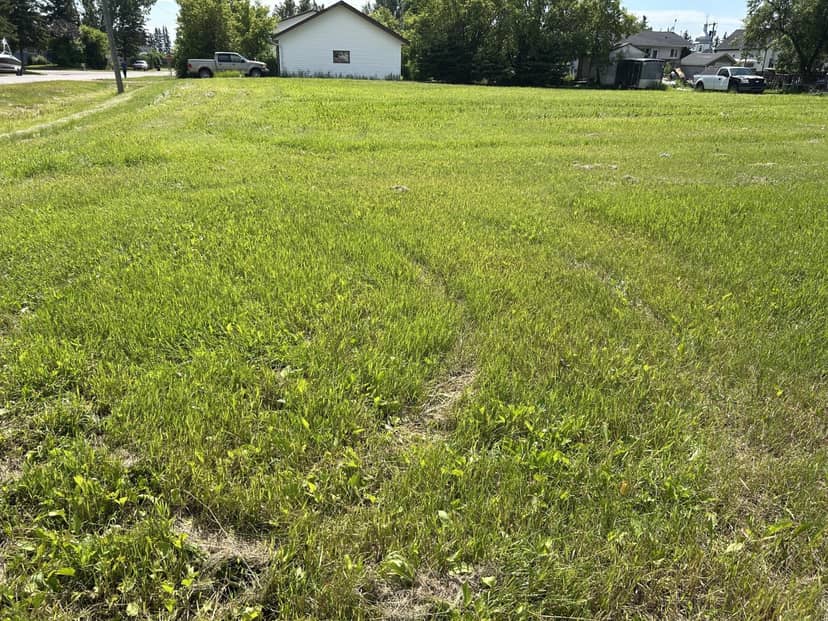 Listing 30023294, Radway