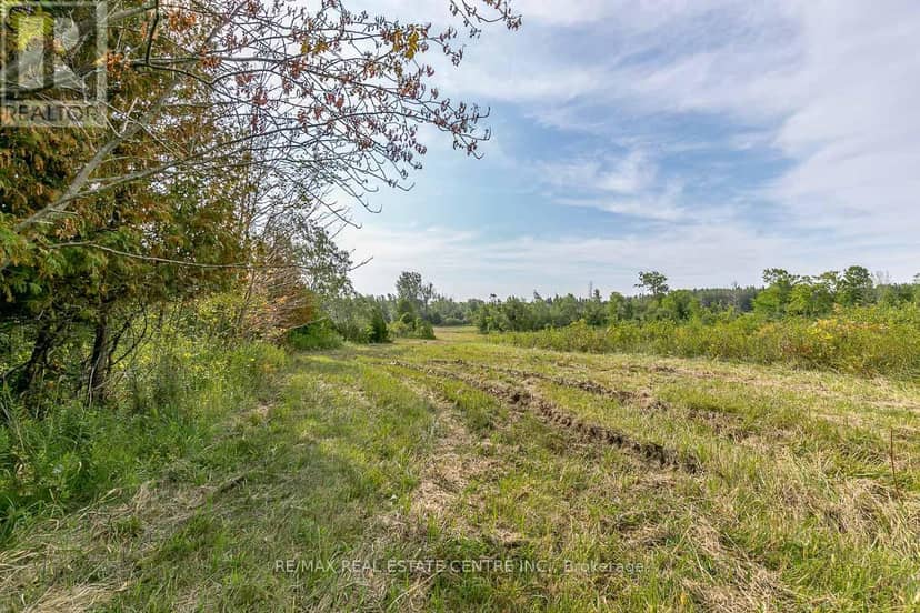 0 Shaws Creek Road — photo 11 of 40
