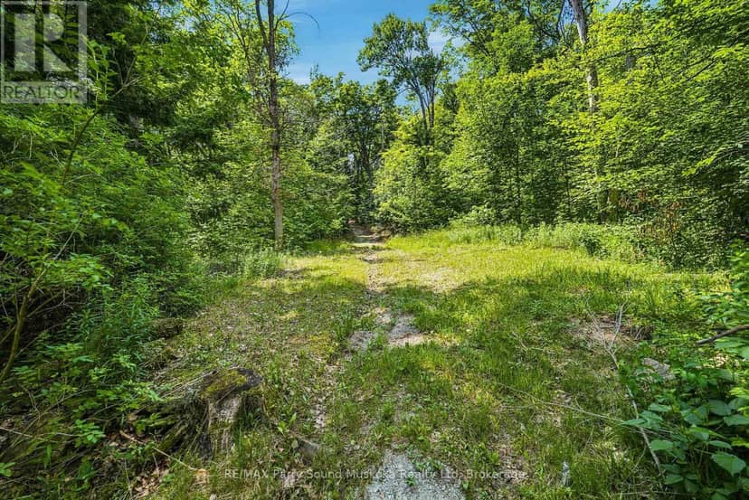 24 South Crane Lake Road — photo 27 of 34