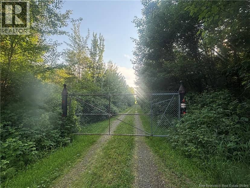 848 C+B Rue Principale, Beresford, photo 5