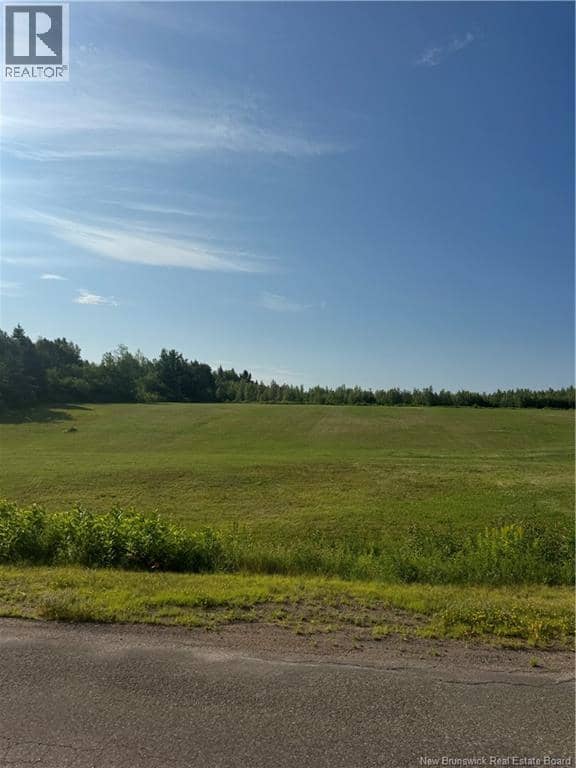 Lot 26-2 Ch Saint-Ignace, Saint-Ignace, photo 3