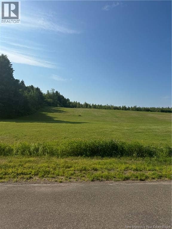 Lot 26-2 Ch Saint-Ignace, Saint-Ignace, photo 4