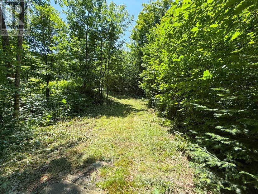 17 White Beaver Trail, McDougall, photo 3