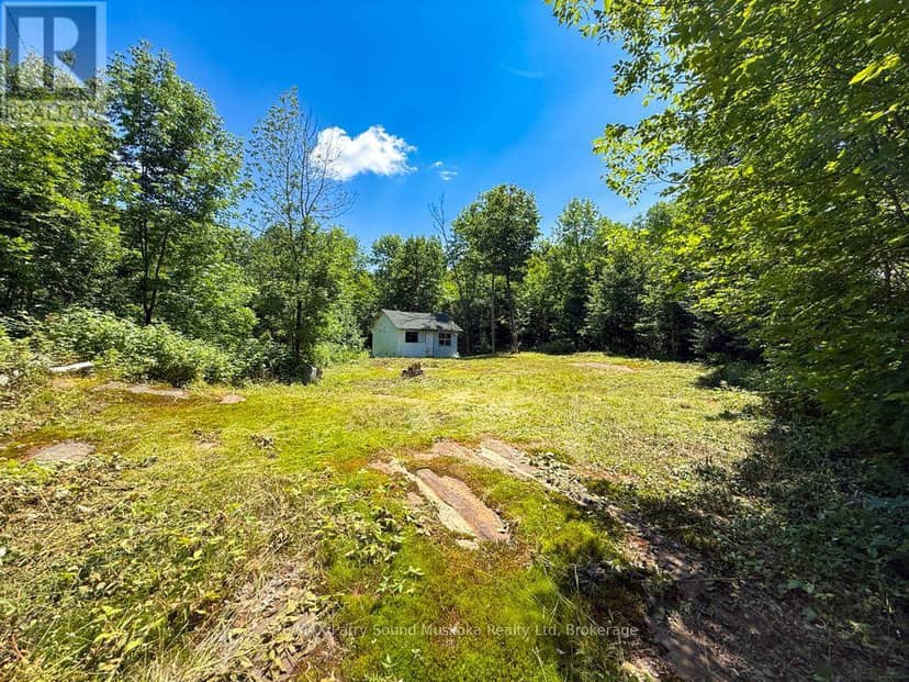 17 White Beaver Trail, McDougall, photo 4