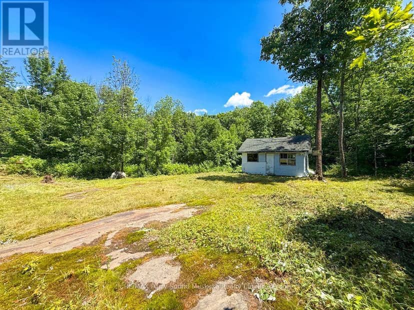17 White Beaver Trail, McDougall, photo 5