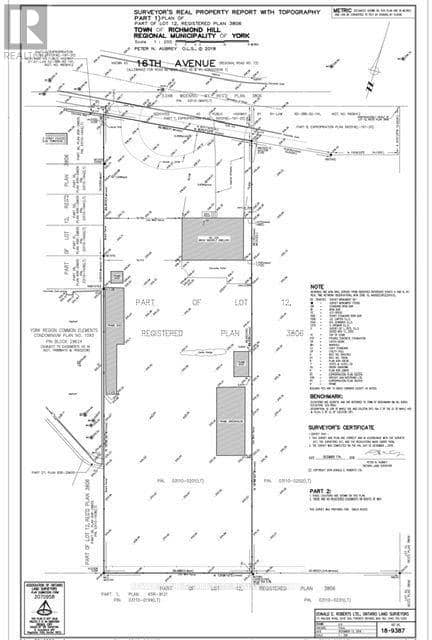 225 16th Avenue, Richmond Hill, photo 3