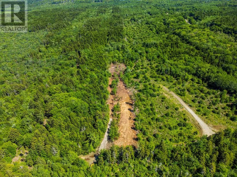 Lot East Concession Road — photo 7 of 17