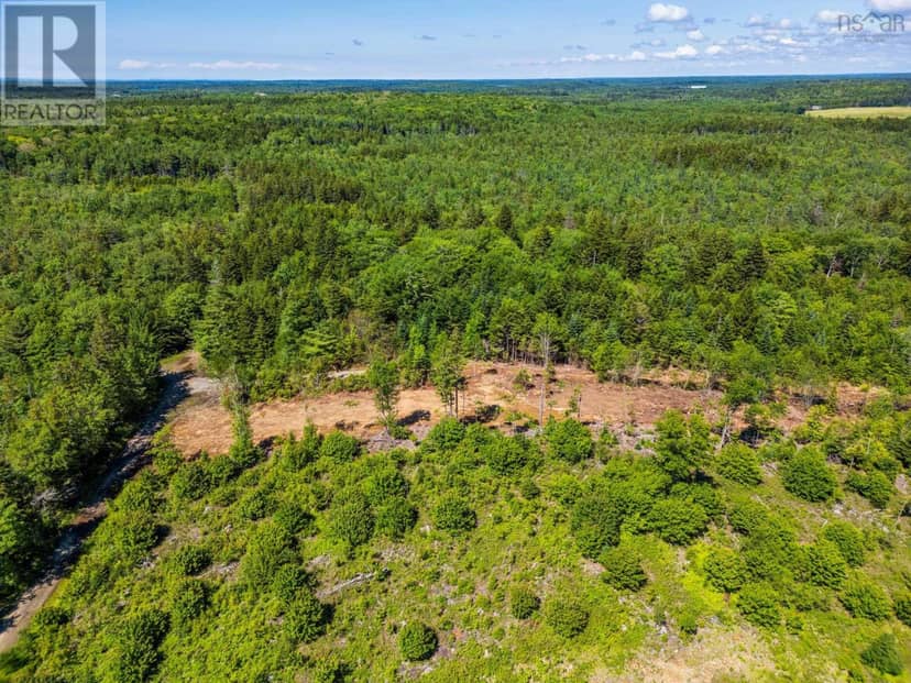 Lot East Concession Road — photo 17 of 17