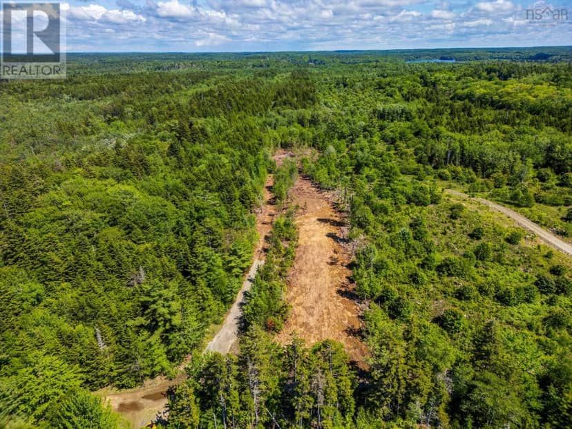 Lot East Concession Road — photo 8 of 17
